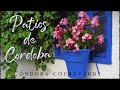 Wonderful Patios of CORDOBA #patios #cordoba #courtyards #cinematic #cordobatourism #UNESCO