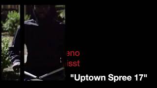 Snare drum Spree “Uptown Spree 17”