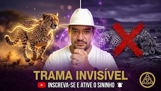 O Guepardo e o Fio do Amanhã | Quando a Vida Exige Movimento