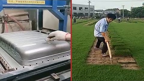 Most Skillful and Smart Workers I