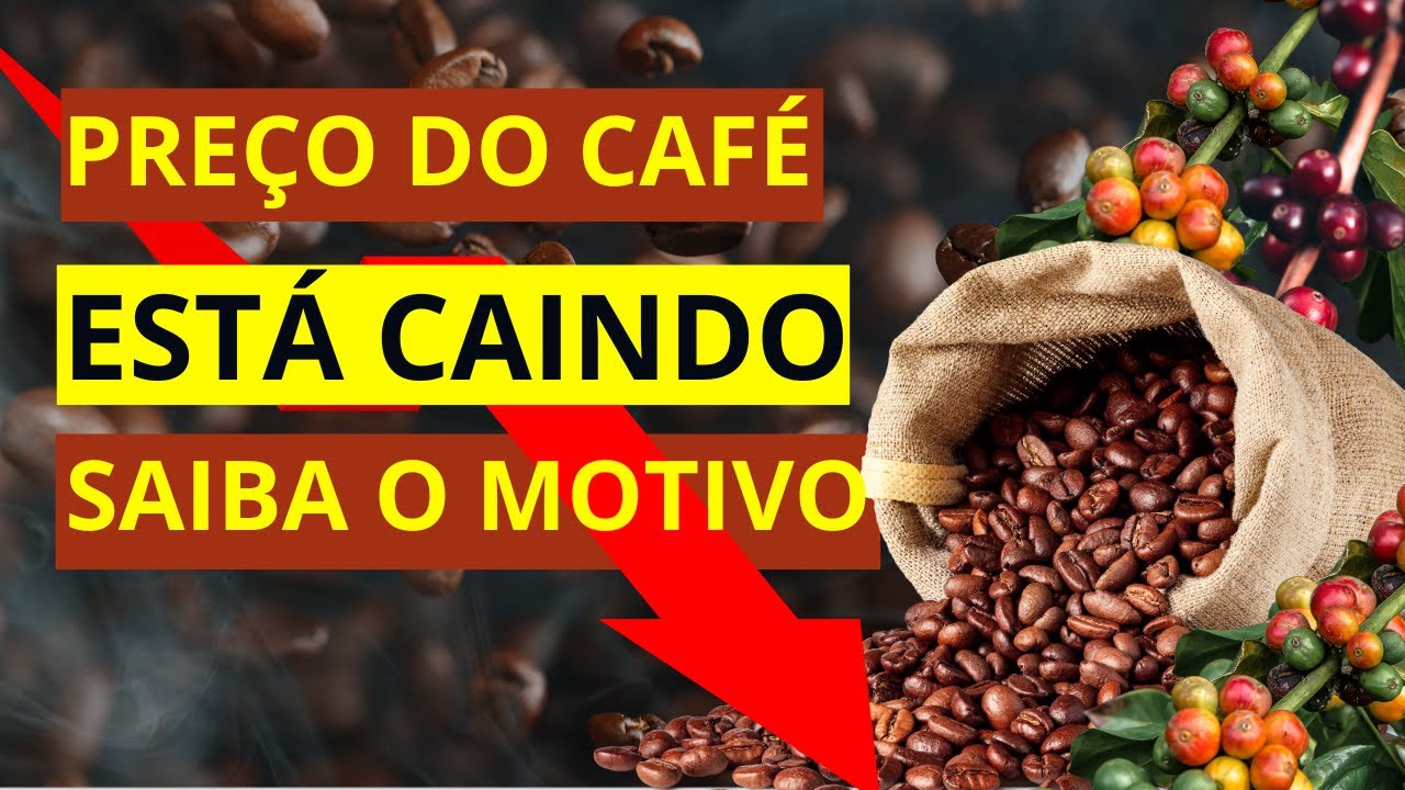 URGENTE: DESCUBRA O QUE ESTÁ ACONTECENDO COM O PREÇO DO CAFÉ HOJE ...
