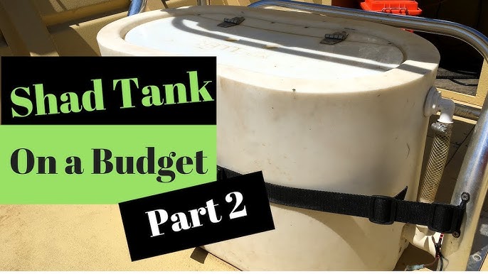 Shad Tank On a Budget (Part 1) 