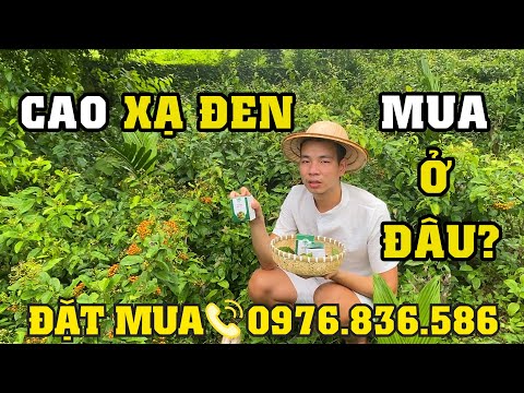 Tác Dụng Công Dụng Cao Xạ Đen – Địa Chỉ Bán Cao Xạ Đen Uy Tín
