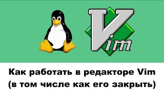 Как работать в редакторе Vim (в том числе как его закрыть)