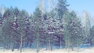 Siberia   26/12/20 за -40C ( Ameno -  Gabry Ponte Marnik feat. Roberto Molinaro )