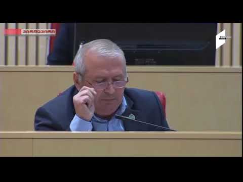 კარლო კოპალიანის გამოსვლამ პარლამენტში, \"ნაცმოძრაობა\" გაამხიარულა