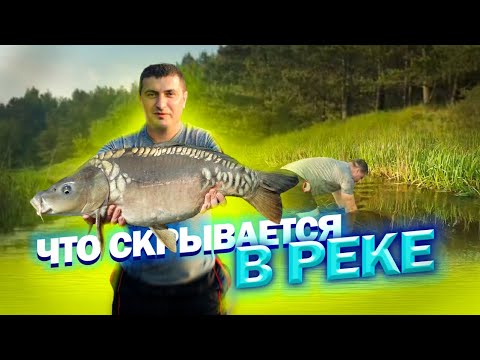 ЛОВИЛИ РЫБУ А ПОЙМАЛИ ТРОФЕЙ // ТАКОГО ЕШЕ НЕ ВИДЕЛ