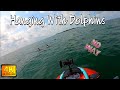 Vlog Florida: #1 Place To Visit On Vacation Egmont Key Bird Sanctuary Lots Of Dolphins