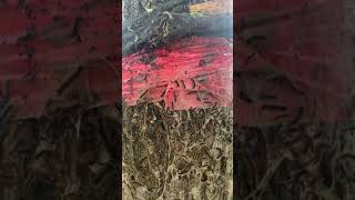 DIY Defence Against Gypsy Moth Caterpillar Infestation