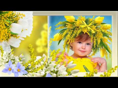ВЕТКА МИМОЗЫ, КАПЛЯ ВЕСНЫ