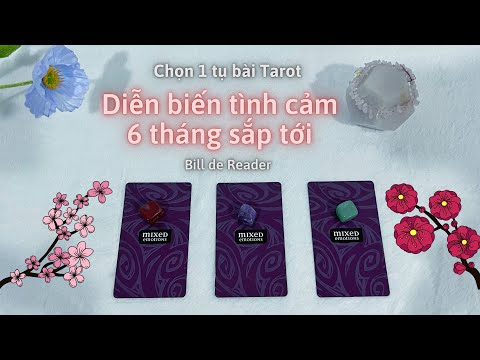 DIỄN BIẾN TÌNH CẢM 6 THÁNG TỚI CỦA BẠN - Chọn 1 Tụ Bài Tarot Tình Yêu [TIMELESS]