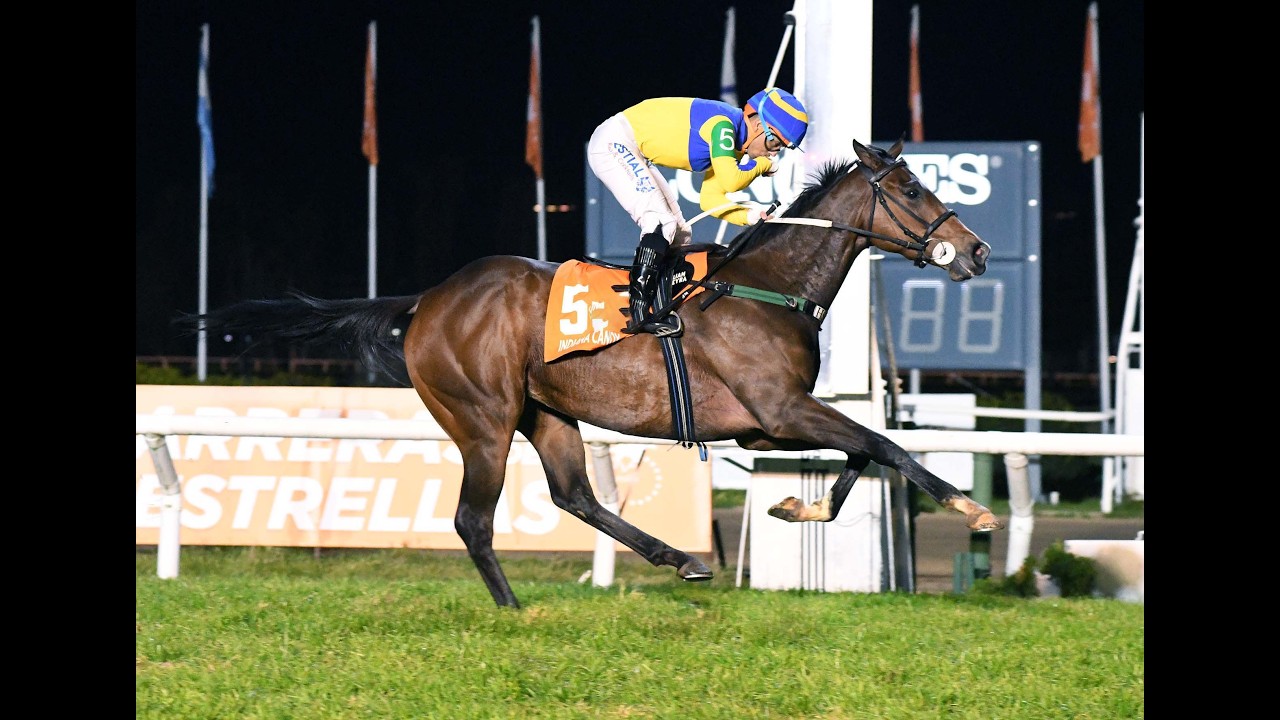 Gran Premio Estrellas Distaff (G1) 2026 - Indiana Candy (Señor Candy)