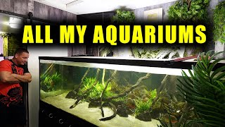 ALL MY AQUARIUMS! 2022 FINAL UPDATE