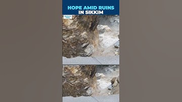 Sikkim Landslide Tragedy: Army Rescues 113 Tourists, Search On For Missing Soldiers & Family