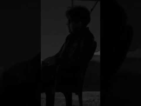 هنرجع تاني ولا محال