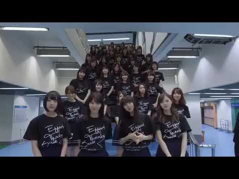 乃木坂46からのお土産♪そんなバカな･･･