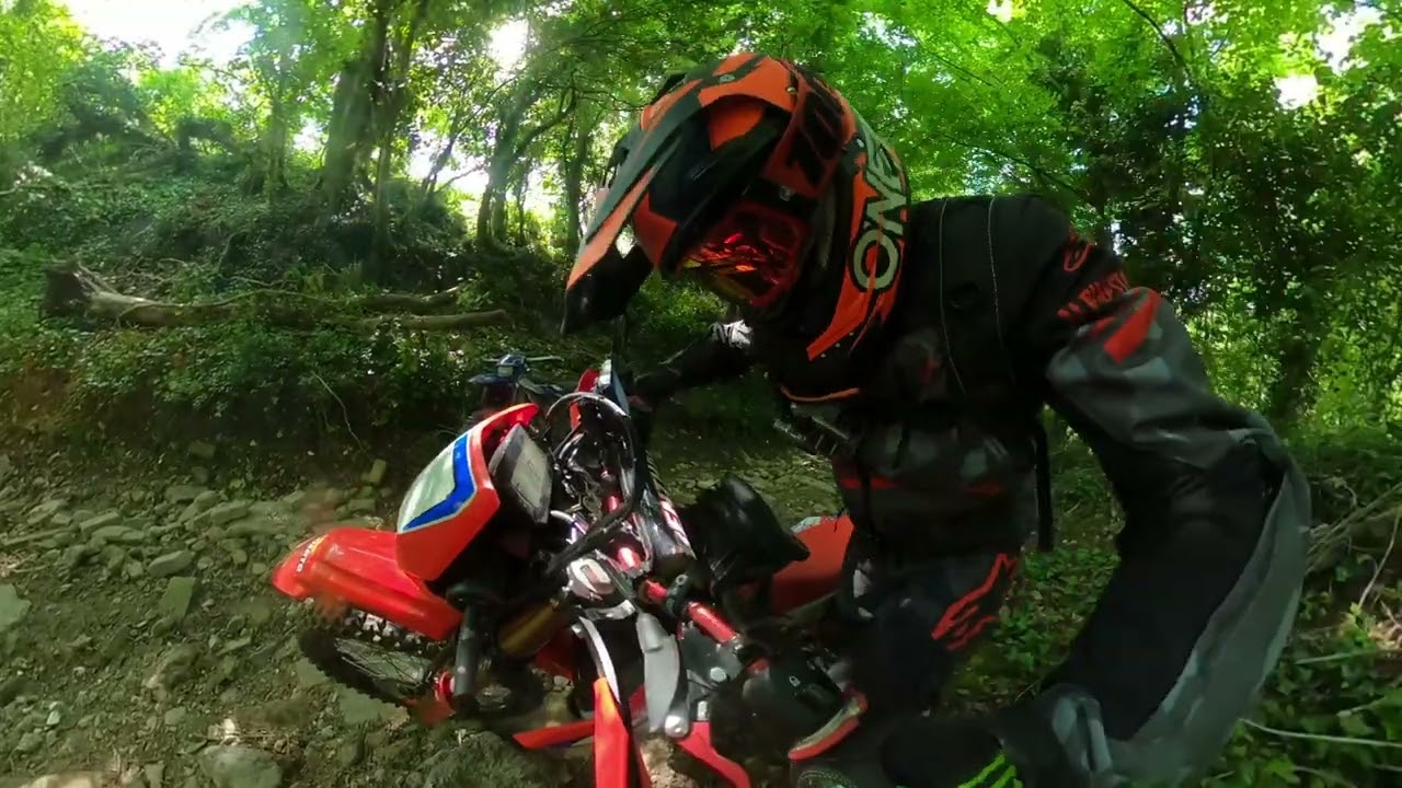 Green Lanes 21st May 23