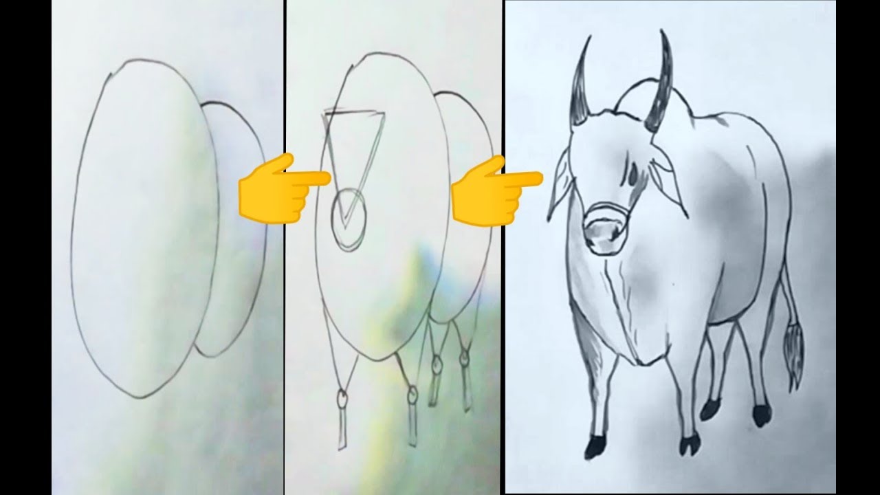 How to draw a bull/ox /cow /easily / গরু বা ষাঁড় অংকন করার সহজ উপায় - YouTube