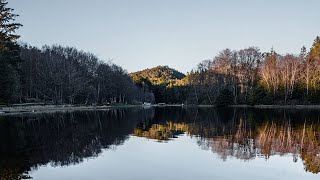 Relaxing Music, Meditation Music, Sleeping Music, Yoga Music, Spa Music ☯001 I Pause. Relax. Repeat.