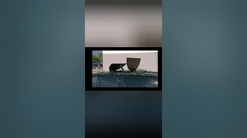 Ram Ranch is under siege!!!