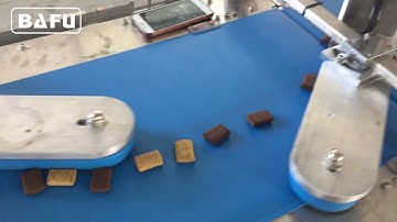 high speed flow wrapper, flow wrapper high speed, flow-pack,flow pack machine