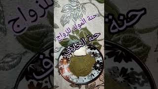 حنة المولد للزواج المولد_النبوي_الشريف رسول_الله الله الجزائر المولد_النبوى_الشريف محمد