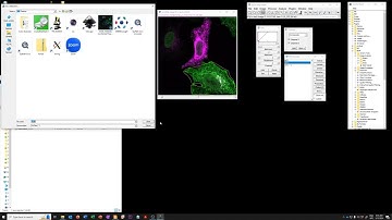 5 Visual check of data -  2D histograms with ROIs (HD)