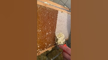 Harvesting Honey | Food Network