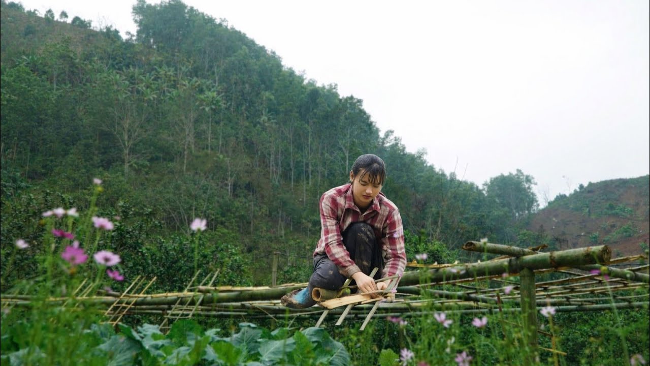 The girl poor built a bamboo trellis to grow vegetables, sowing seeds of hope for a better future.