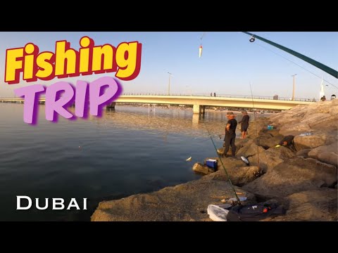 Have Fish? No Have, Fishing Spot in Jumeirah Beach, Dubai 2024