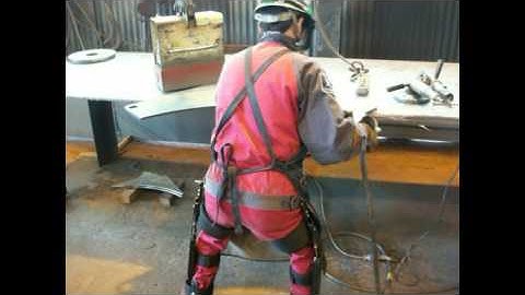 Leg Support Exoskeleton (LSE)