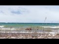 HD Nature screen: Lake Michigan windy day scenery