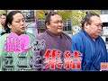 推しがここに集結✨国技館入り秋場所総集編【朝乃山・三田・宝富士など】