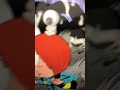 ゲゲゲの鬼太郎1期に色塗ってみた!