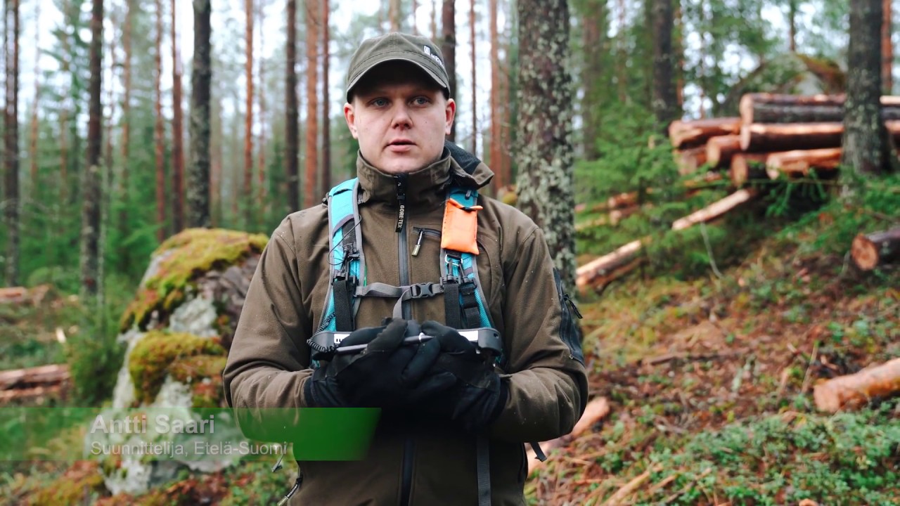 Metsäsuunnittelijan työ Metsähallituksessa