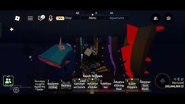 FISCH EXPLOITER REPORT #2