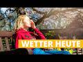 Wetter heute: Nach kaltem Start wärmt uns der Sonnenschein
