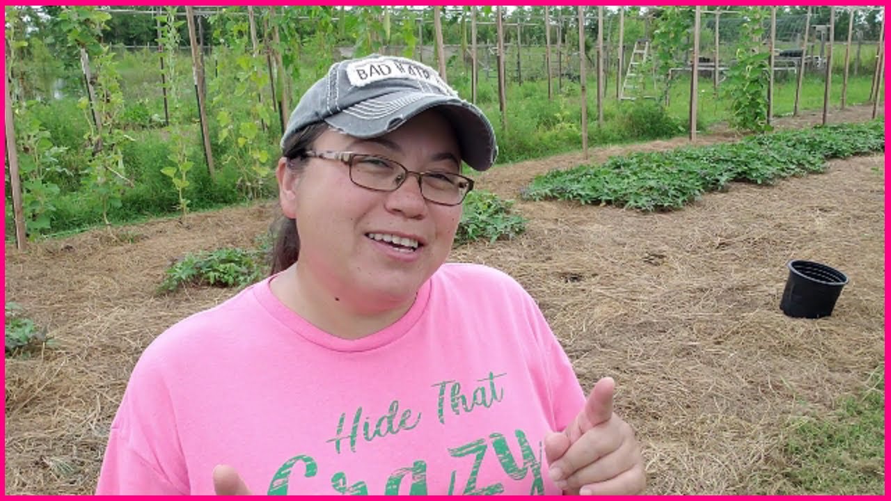 Making a New Garden Row Without Tilling | Easy | Ruth Stout Method