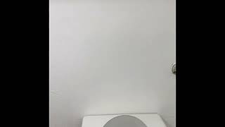 Brent wood apts Everett WA 1x1 now for rent!