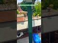 Die monorail im europa park