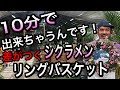 【完コピ】10分でできる！シクラメンのリングバスケット