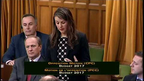 MP Julie Dzerowicz Speaks on the Opposition Day Motion Regarding the 2017 Budget