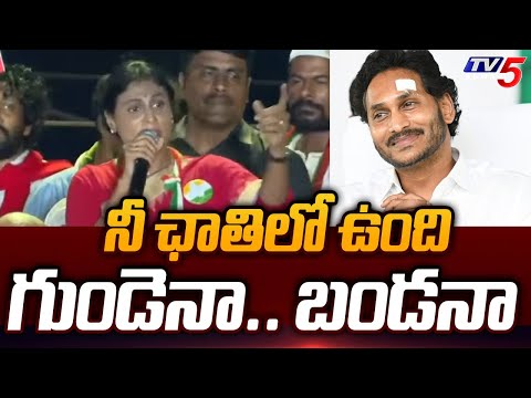 YS Sharmila Shocking Comments on YS Jagan | YS Sowbhagya Amma Letter | YS Avinash Reddy in Kadapa - TV5NEWS