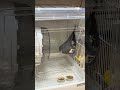 【どこかで視線を感じると思ったらシリーズ】