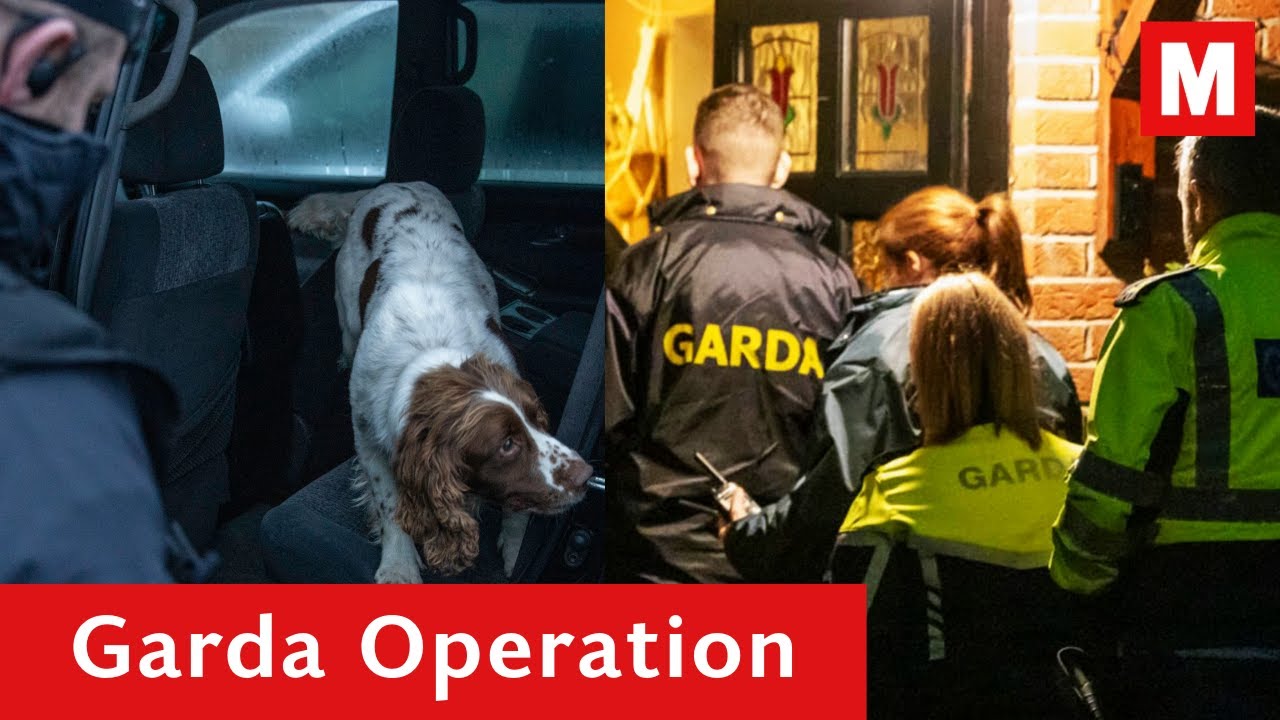 Notorious mobsters arrested in major Garda op after man tortured - YouTube
