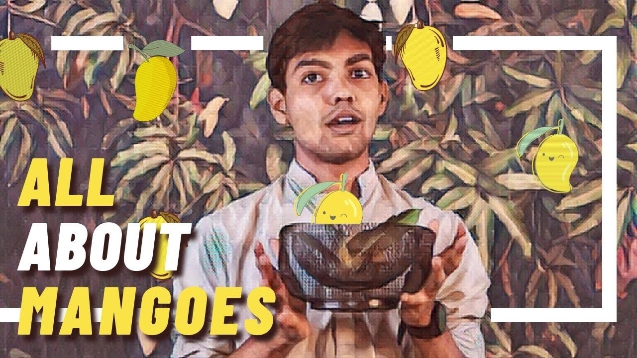 All about Mangoes | KING OF FRUITS | The Circuit Live