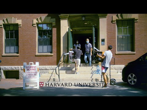Moving into Harvard thumbnail