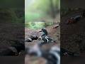 Эндуро Шаолинь #motorcycle #automobile #ktm #enduro #dirtbiketricks #motocross #gopro #чурилково