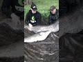 Untitled video