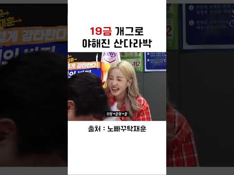 19금 개그로 야해진 산다라박 #shorts #코미디 #유머 #쇼츠모음zip #노빠꾸탁재훈